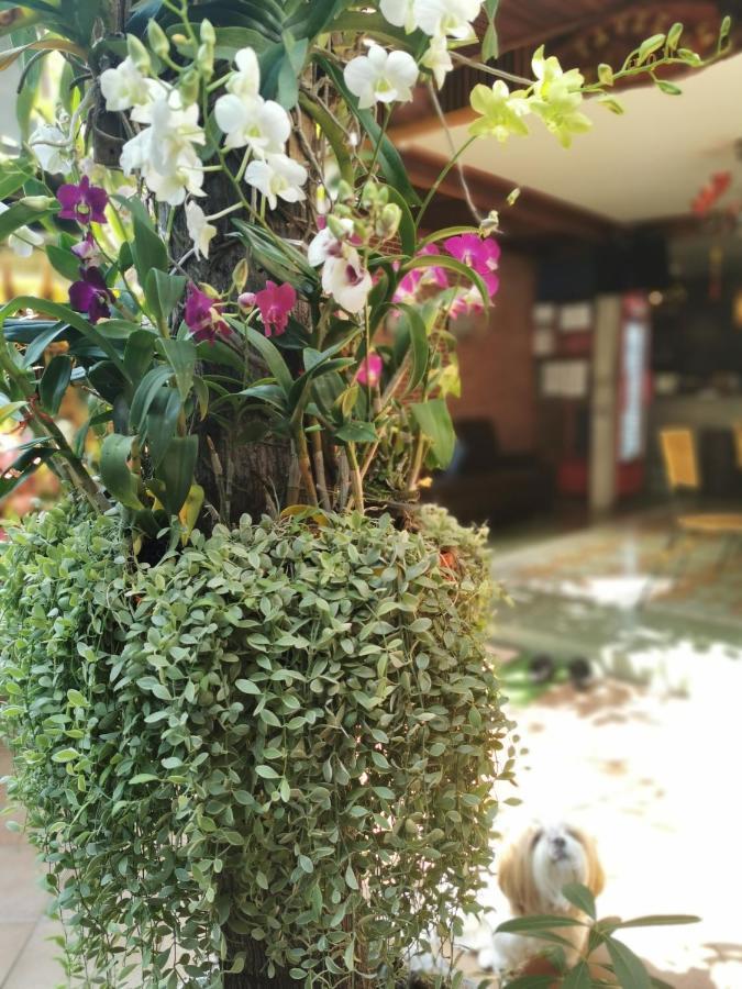 Tavee Guesthouse Bangkok Luaran gambar